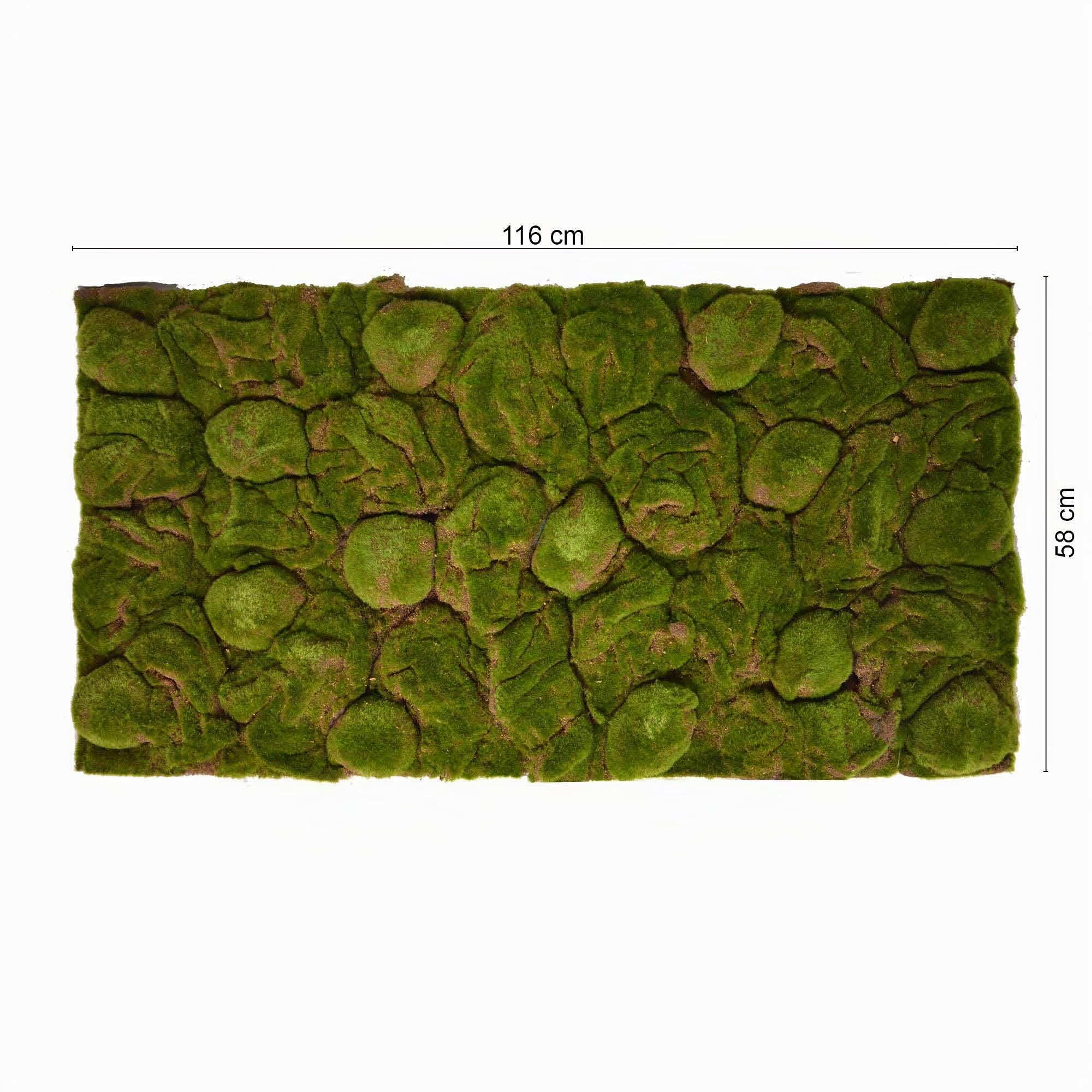 REPITERRA Terrario parete posteriore decorazione sfondo 3D muschio aspetto naturale 116x58 cm per terrari 120x60 cm