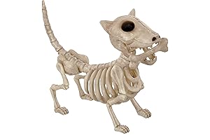 Creepy Skeleton Dogs Halloween Decoration
