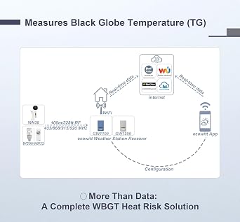 ECOWITT WN38 Black Globe Thermometer, Wet Bulb Globe Temperature, Heat Stress Monitor Kit, Need to Pair with Gateway/Hub