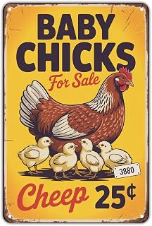 Baby Chicks For Sale tin sign Vintage Farmhouse Chicken Metal Sign Print Aesthetic for Garden Yard Bar Porch Home Bedroom Kitchen Wall Decor Gift 8 x 12 Inches