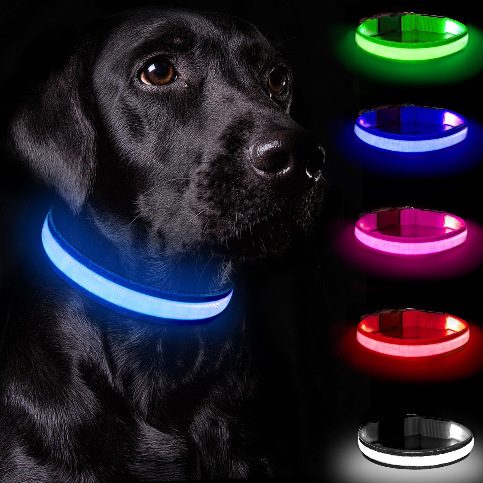 Nepfaivy Collare Luminoso per Cani Ricaricabile - Collare per Cani a Led con Lunghezza Regolabile, 3 Modalità di Illuminazione per la Sicurezza Notturna, Blu