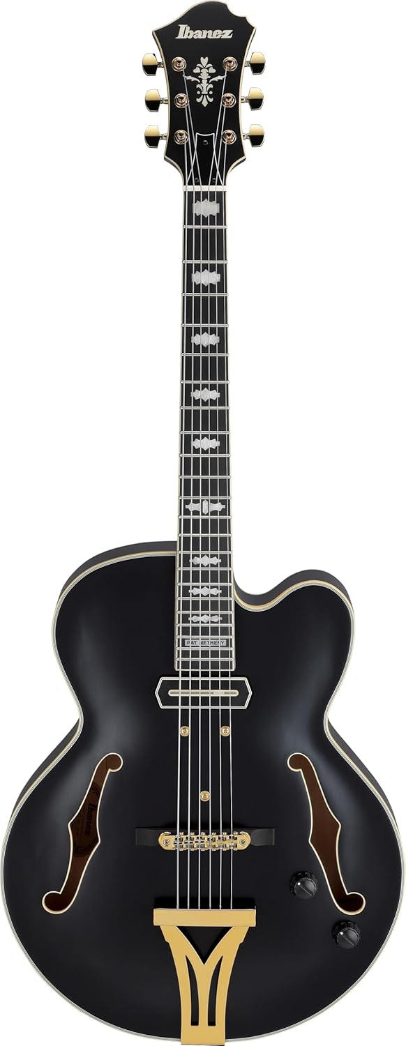 Ibanez PM3C Pat Metheny Signature Hollowbody Electric Guitar - Black Low Gloss