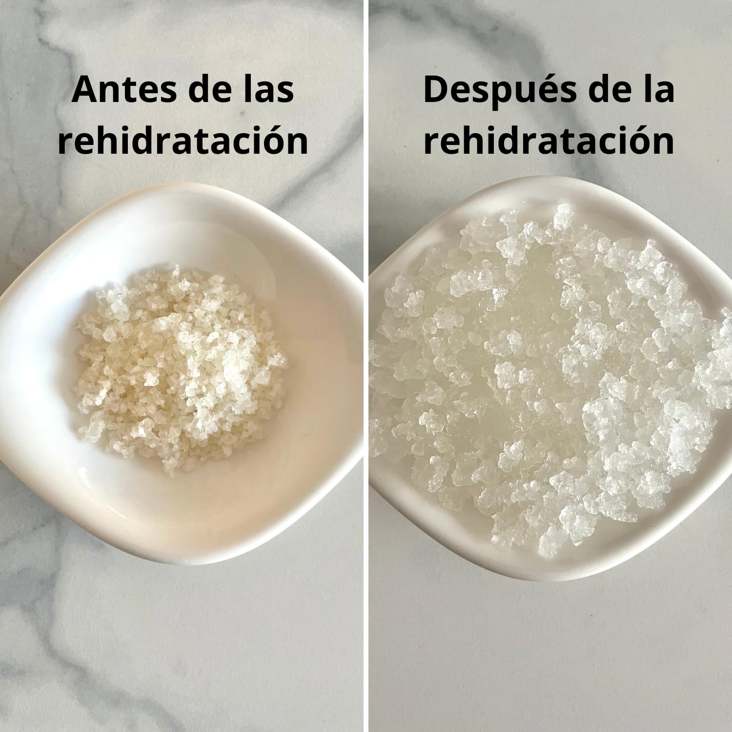 Natural Probio® Kéfir de agua - Kit de inicio de cultivo - Granos de kéfir de frutas + Instrucciones completas, receta y consejos + Acceso a Ebook y recetas (10g deshidratado / 60g rehidratado)