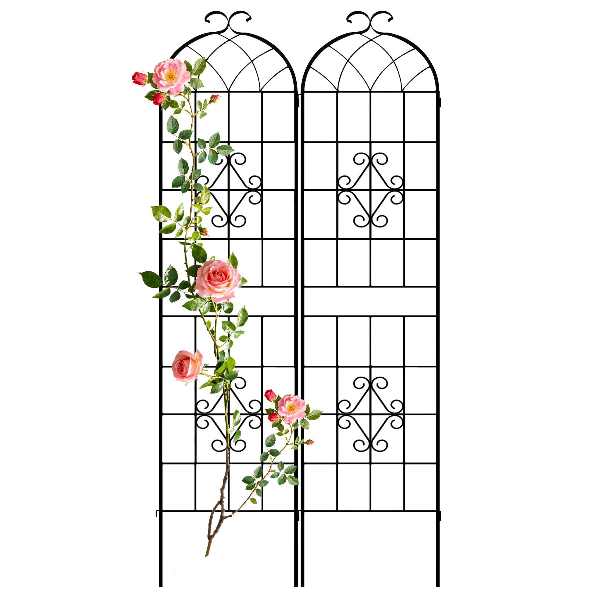 LZRS 2-Pack Iron Arch Trellis