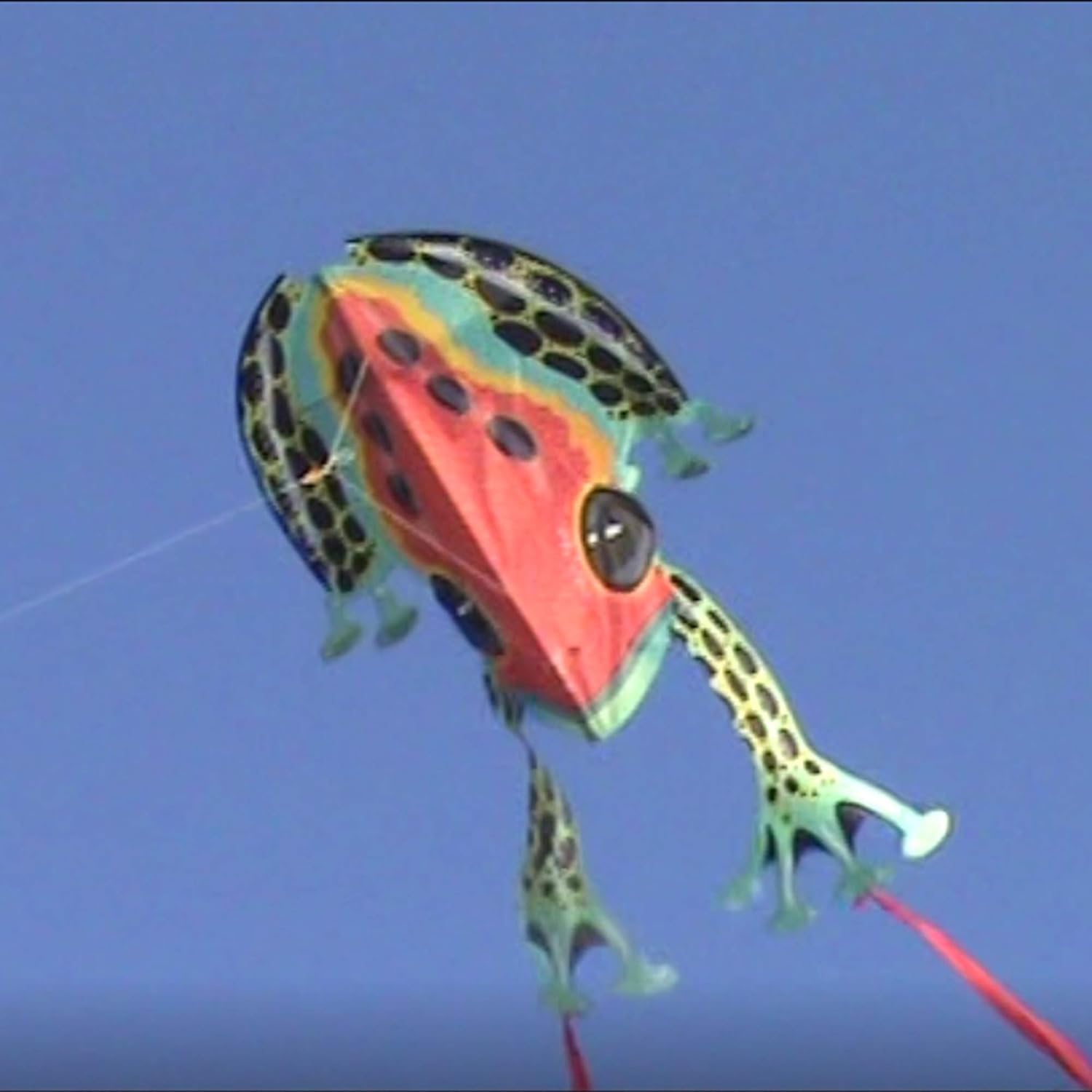 WindNSun Animal Shaped Kites - Rainforest & SkyZoo Land Animal Kites and Sealife Marine Animals w/SkyTails, Kite Handle, and Kite String