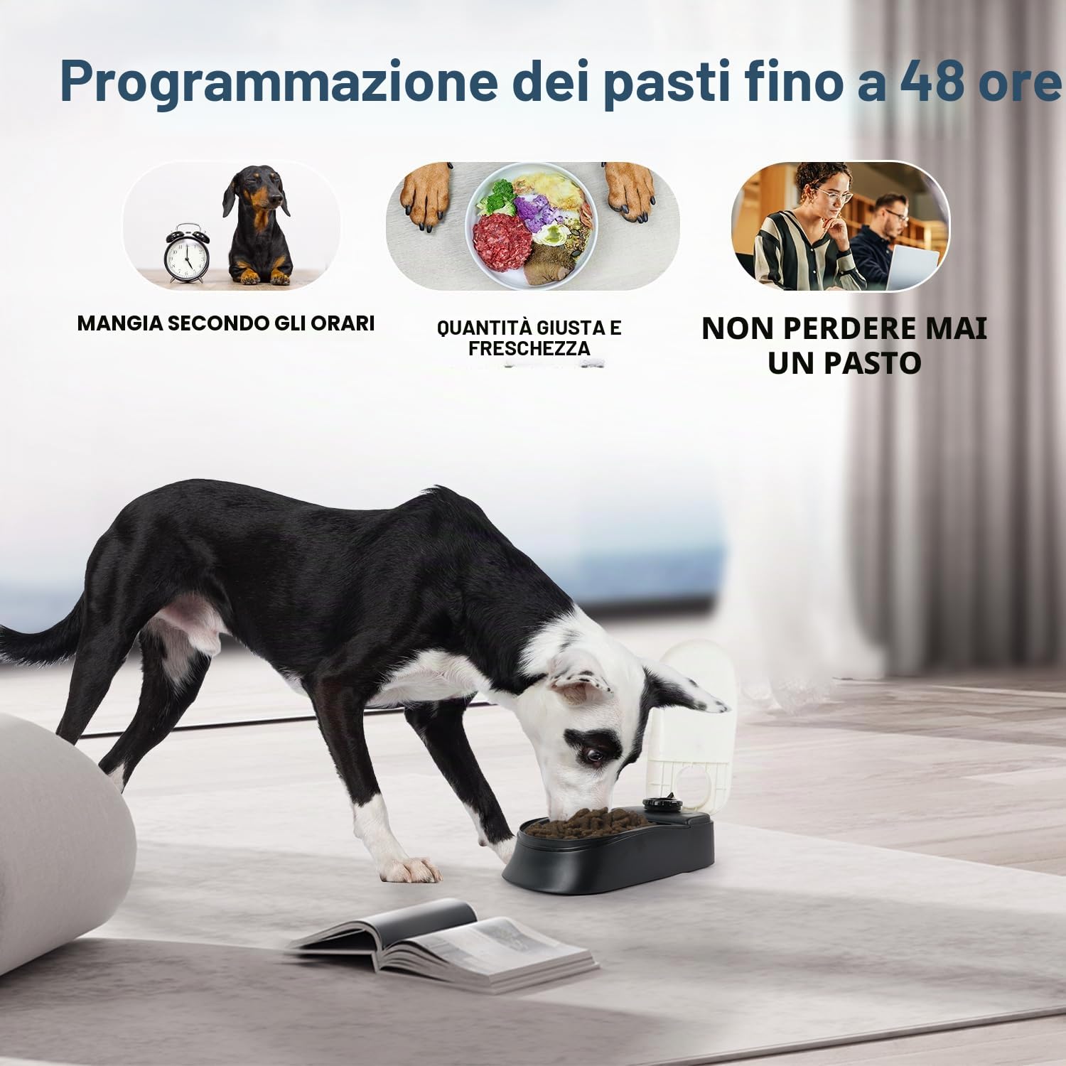 PAWISE Mangiatoia Automatica Per Animali Domestici per cani e gatti, stazione per erogatore di cibo da 1,5 tazze con timer 48 ore - Singola