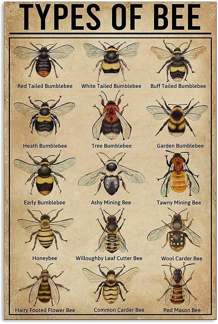 15 Types of Bee Retro Garden Metal Tin Sign Kitchen Restaurant Farm Shopping Mall Bar Cafe Man Cave Farm Wall Decoration Iron Painting Metal Plate 8x12inch