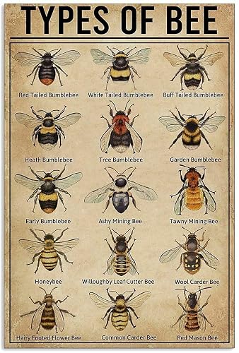 15 Types of Bee Retro Garden Metal Tin Sign Kitchen