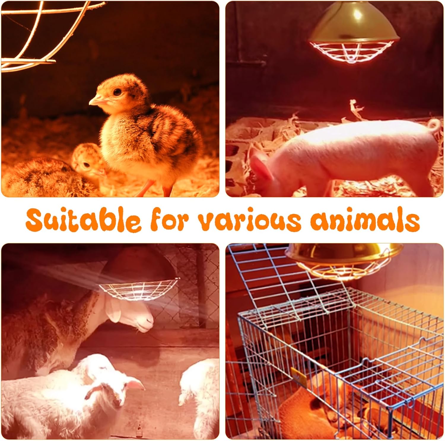 Large Chicken Coop Heat Lamp with 250w Infrared Heat Bulb, Adjust 2 Mode Temperature&Hanging Height,with Aluminum Reflector for Coop Brooder,Cat,Puppy,Lamb