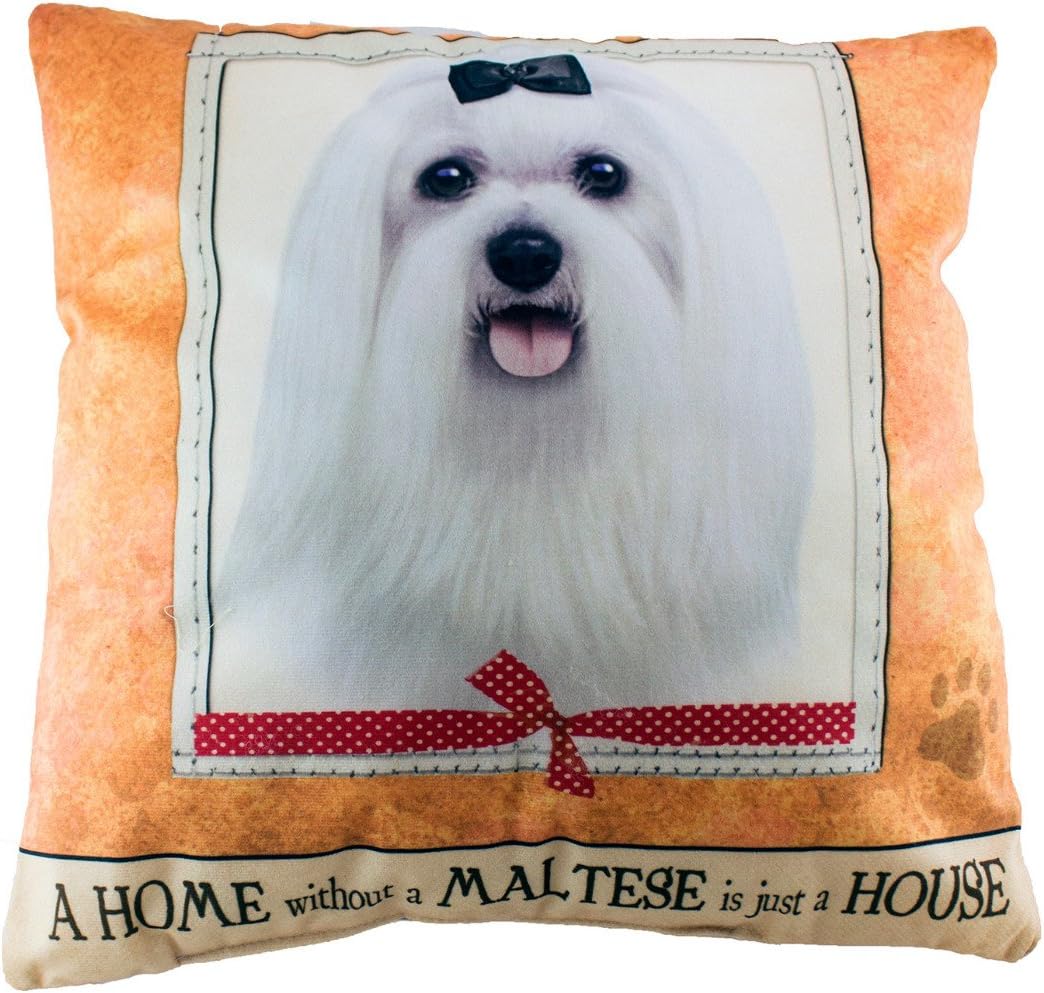 maltese pillow
