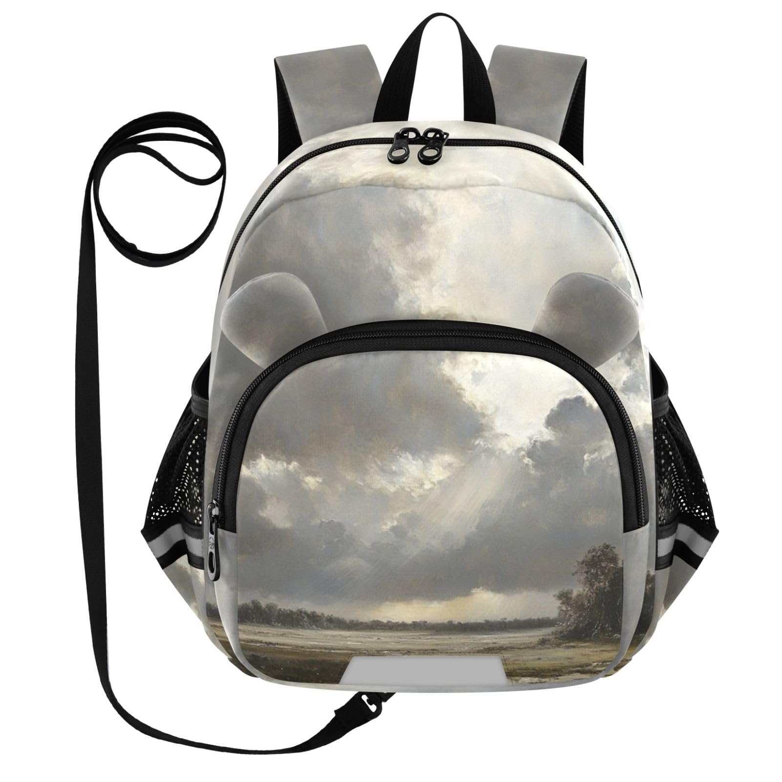 Sky Wetland Landscape Gray Toddler Harness Backpack for Boys Girls 3-6 Years Kids Backpack with Anti Lost Safety Leash Baby Harness Bookbag for Walking Preschool Travel