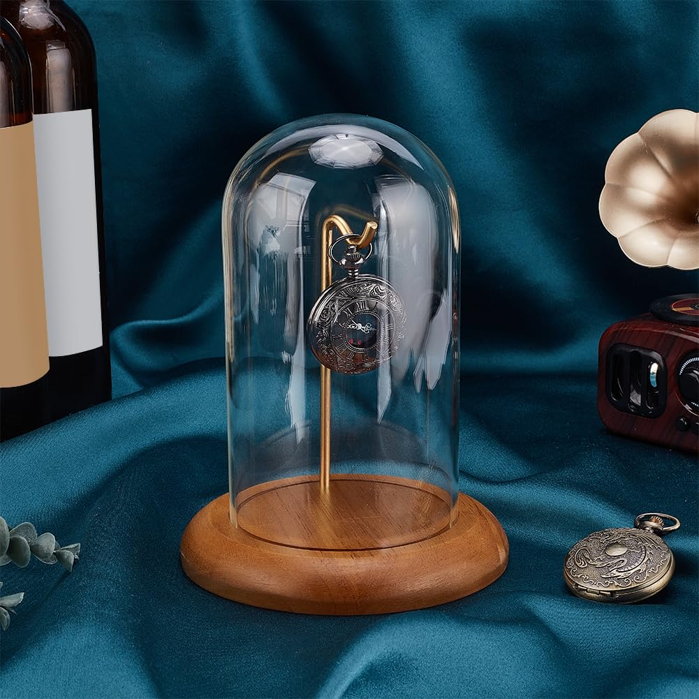 Espositore Orologio In Vetro Cupola - Con Base Legno E Gancio, 14.5x10.5cm, Per Collezioni E Decor - Foto 7