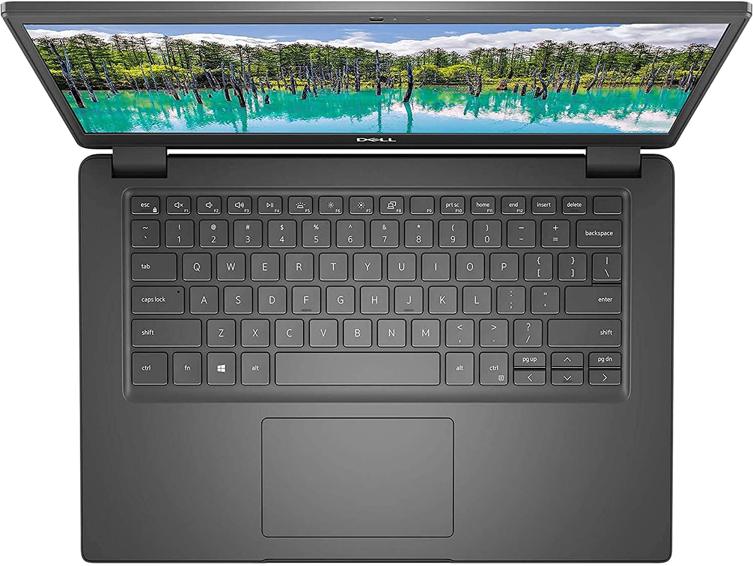 Dell 2021 Newest Latitude 14