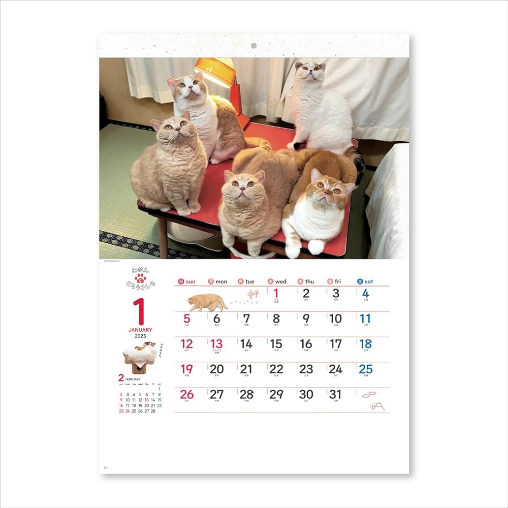 Amazon | 新日本カレンダー 2025年 カレンダー 壁掛け ねこと