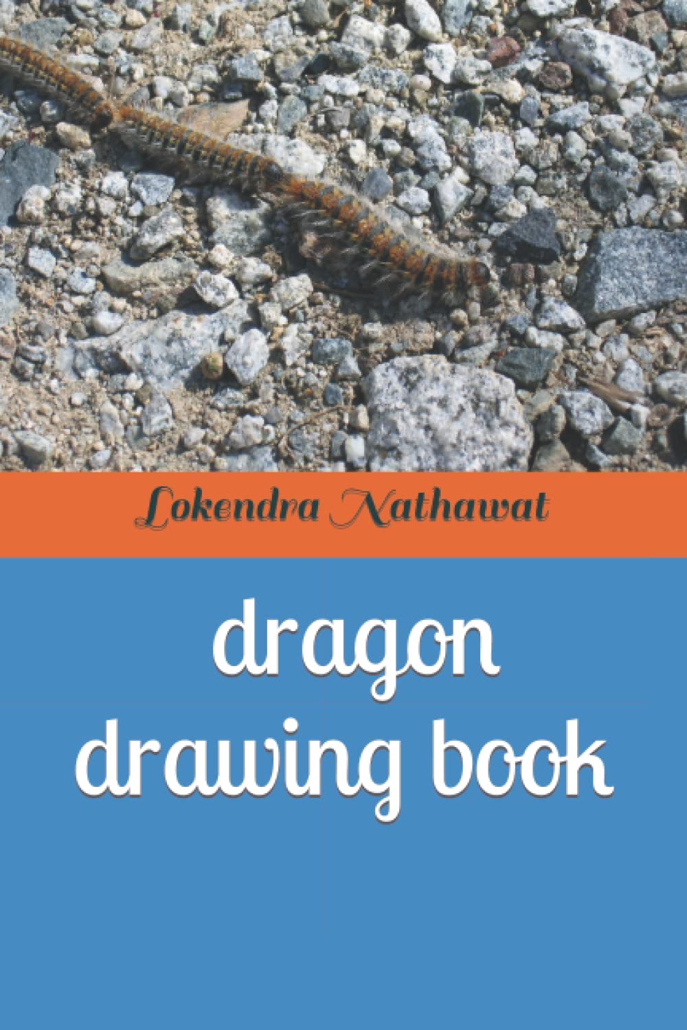 Easy dragon drawing book