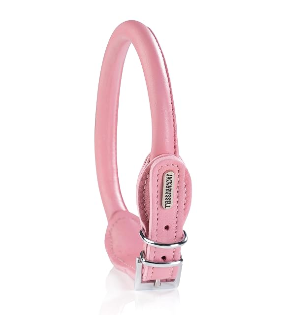 Foto 4 de 7 de Jack & Russell Collar para Perro Redondo de Piel Acolchado - Collar de Búfalo Baxter (Rosa, M 35,0-41,0 cm)