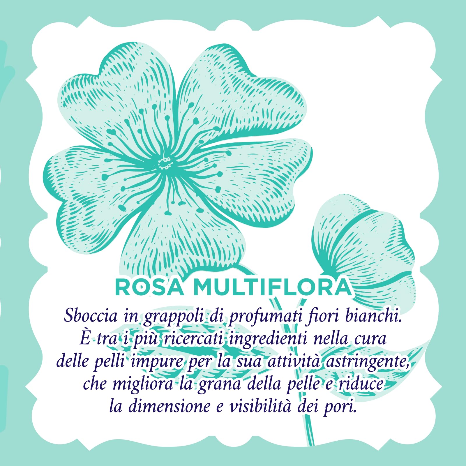Acqua alle Rose, Gel Esfoliante Purificante per Uso Quotidiano, Scrub Viso Delicato, Detergente per Pelli Normali, Miste o Grasse, 150 ml