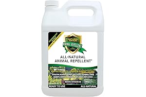 Natural Armor Best Raccoon Repellent Spray: Ultimate Pest Protection