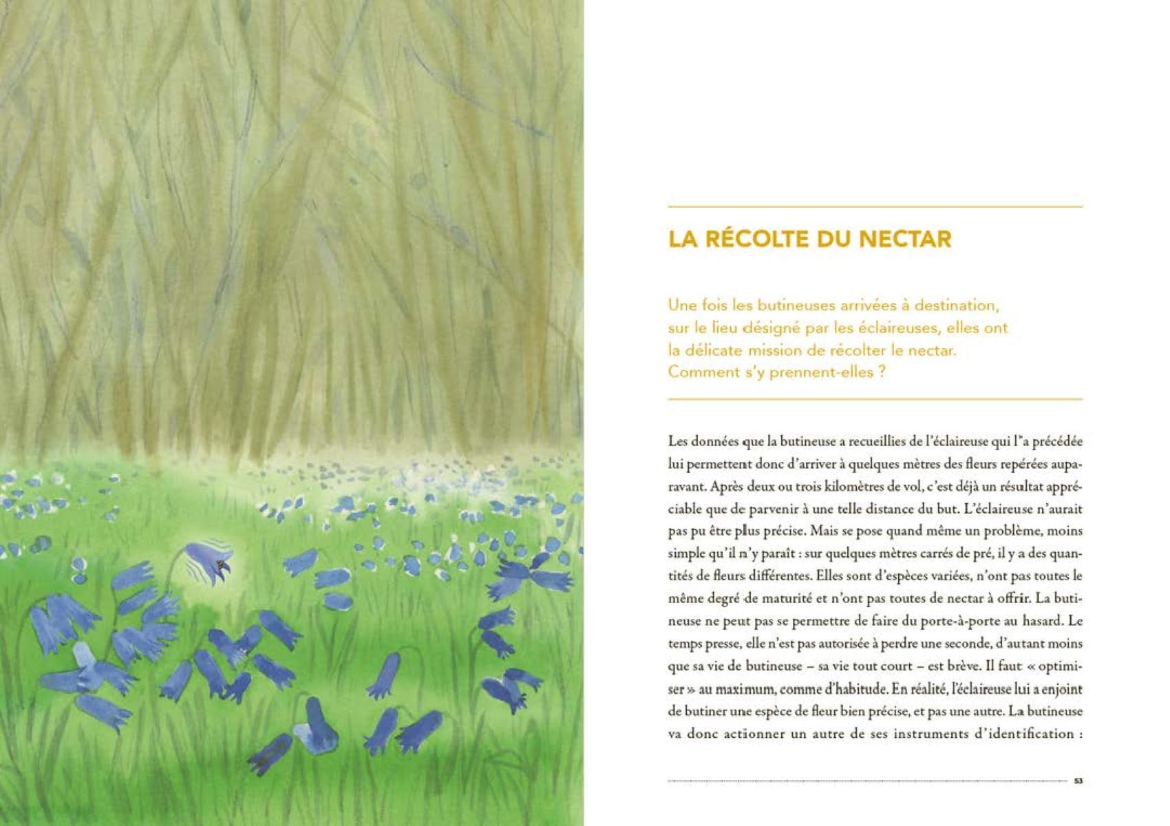 La Vie secrète des abeilles: L'esprit de la ruche