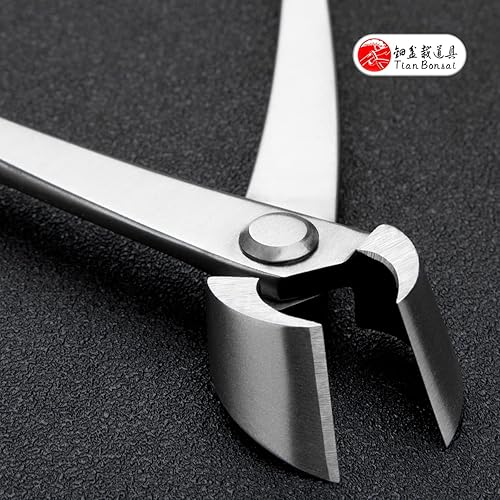 Miniatura 8 de Cortador de borde recto de bonsái cortador de rama de grado profesional Herramientas de bonsái de acero de aleación equipadas con bolsa de