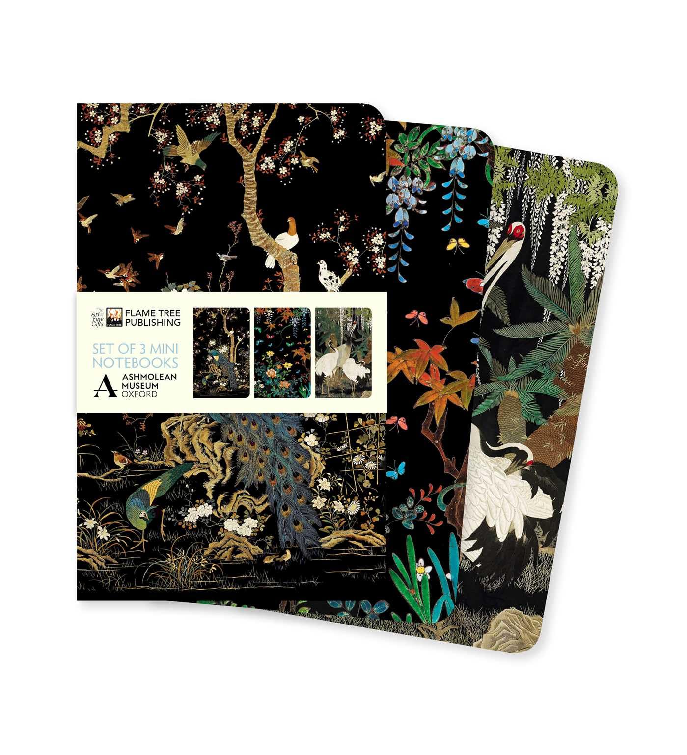 Ashmolean Museum Set of 3 Mini Notebooks (Mini Notebook Collections)