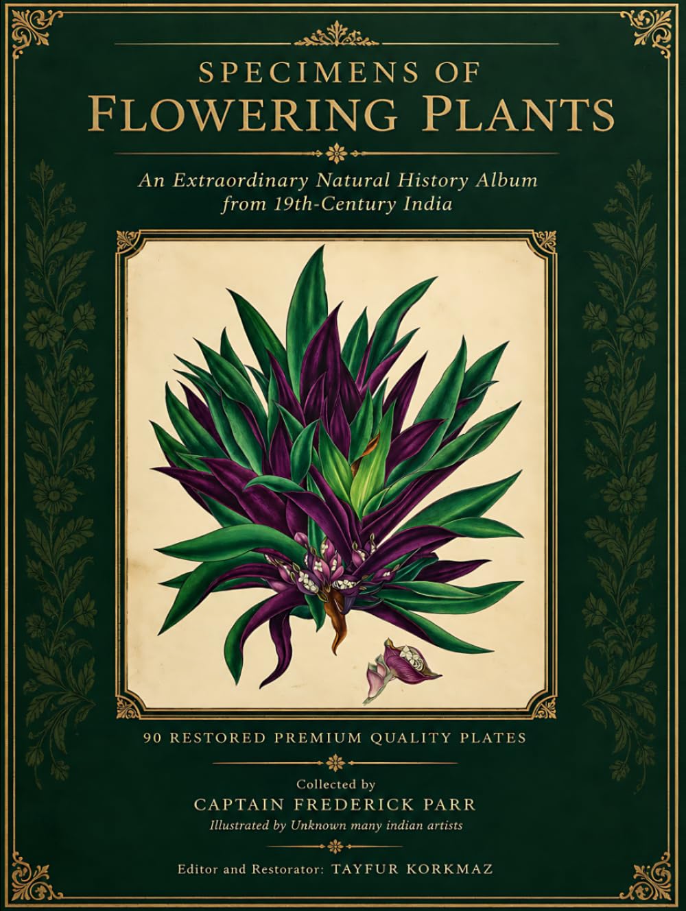Specimens of Flowering Plants: An Extraordinary Natural History Album from 19th-Century India – 90 Restored Premium Quality Plates (Large Format, Black-Backed Pages)