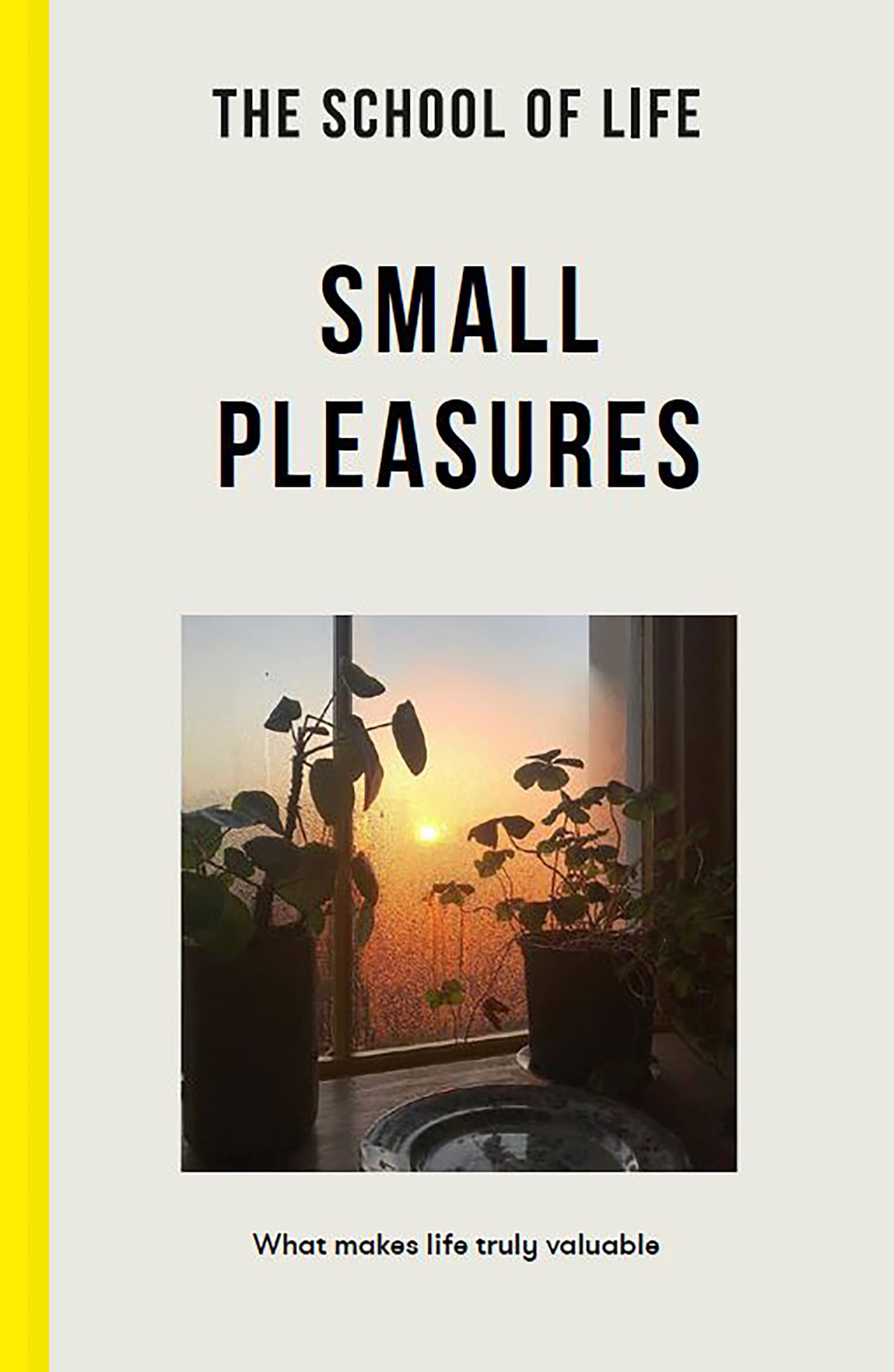 The School of Life: Small Pleasures - what makes life truly valuable (Lessons for Life)