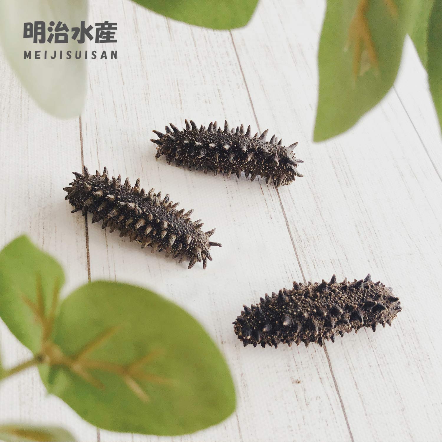 Amazon.co.jp: 【北海道産】 乾燥なまこ 天然 厳選A級品 500g 明治水産