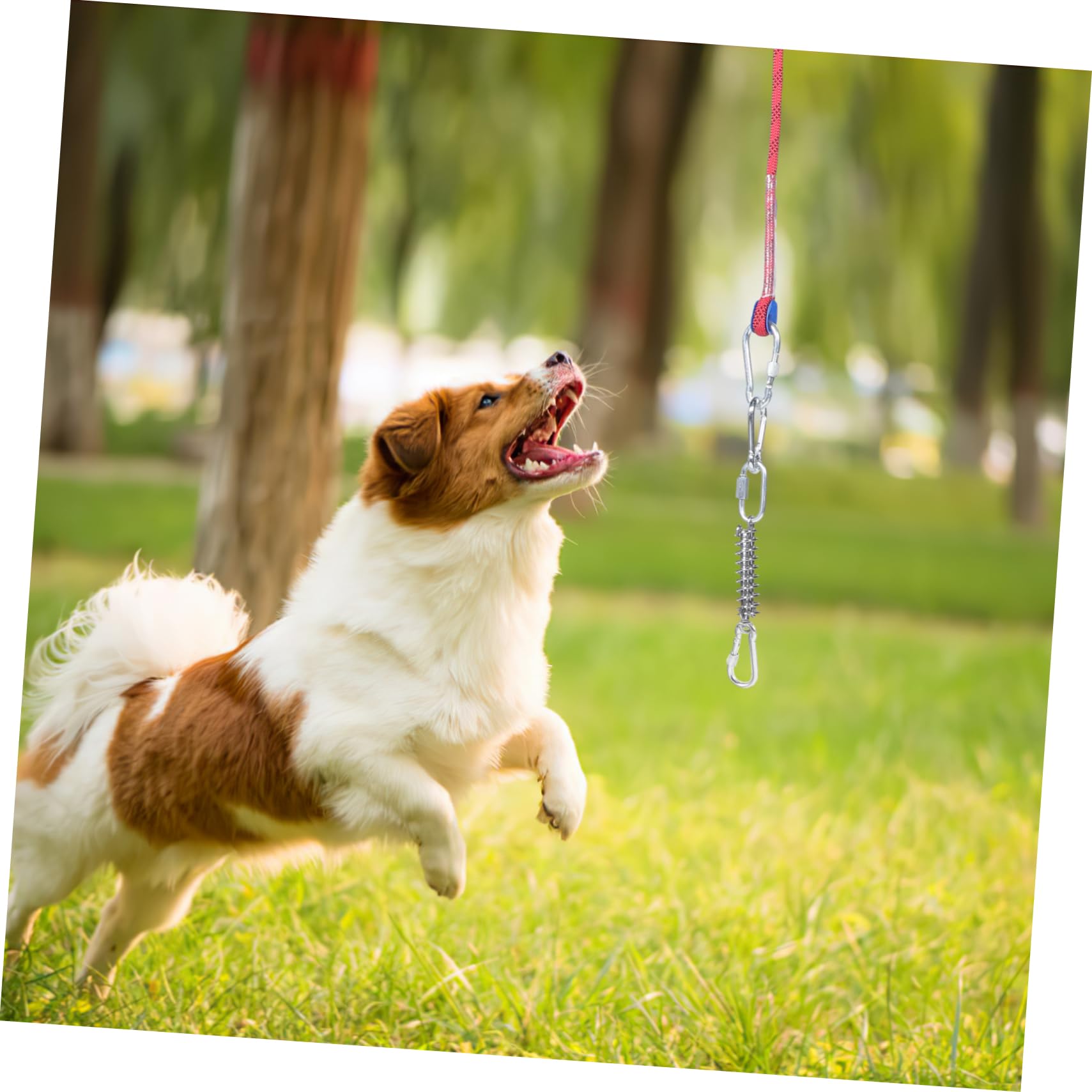 ibasenice Correa para Perro De Cable De Amarre Equipo para Acampar Cadena para Pasear Cachorros para Camping Perros Exteriores