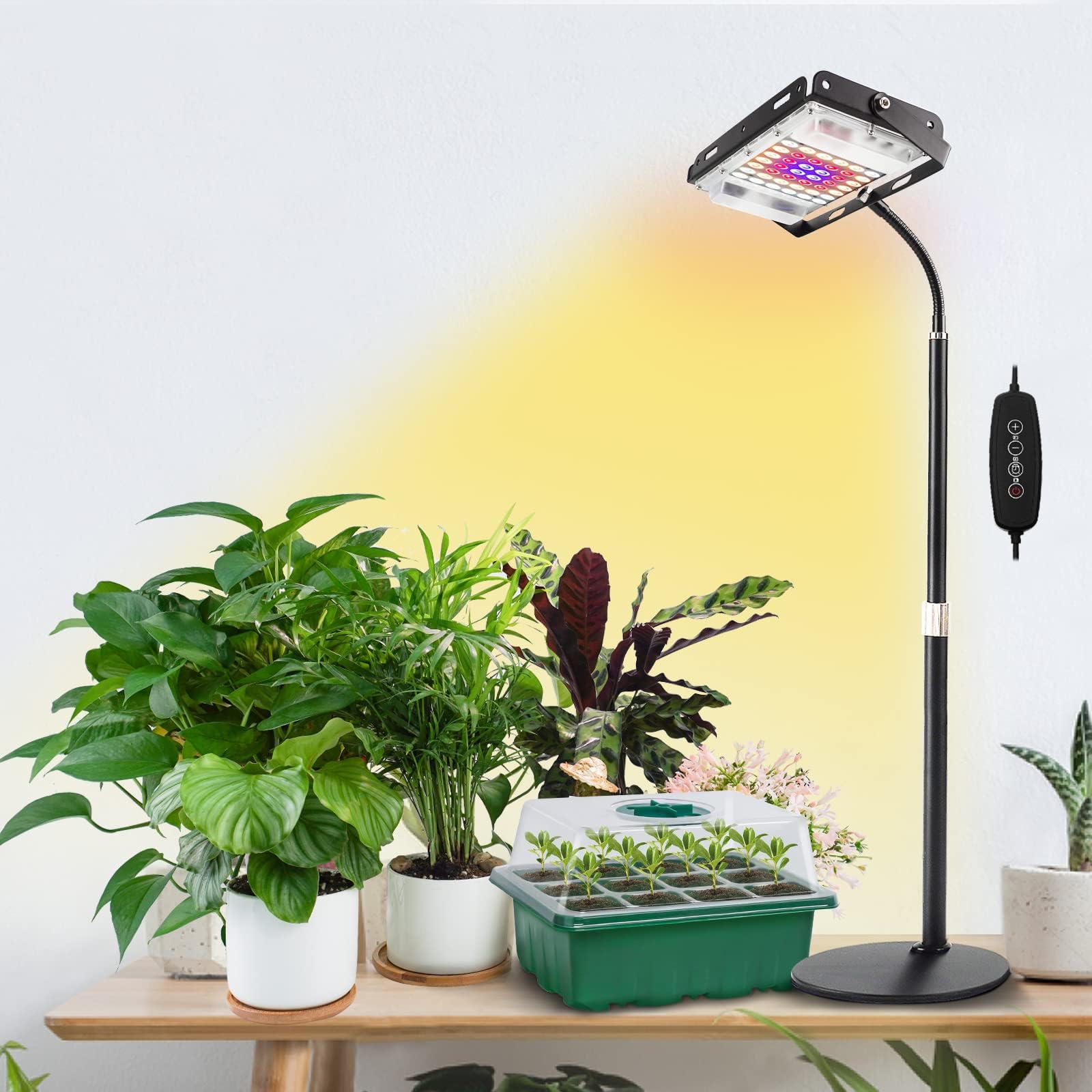Desk Grow Light with Timer