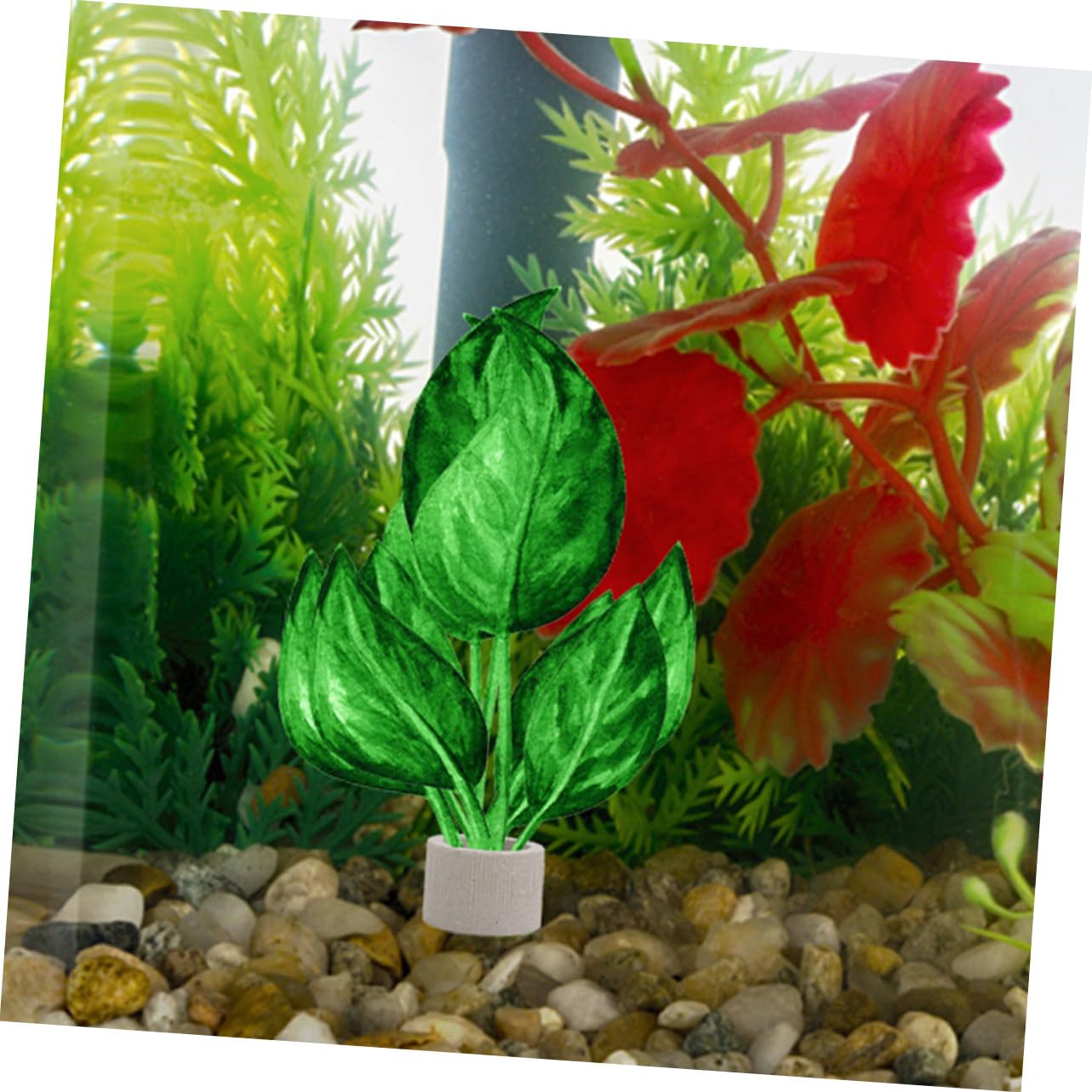 Aquarium Befestigungsring aus Keramik für Wasserpflanzen 12 Stück