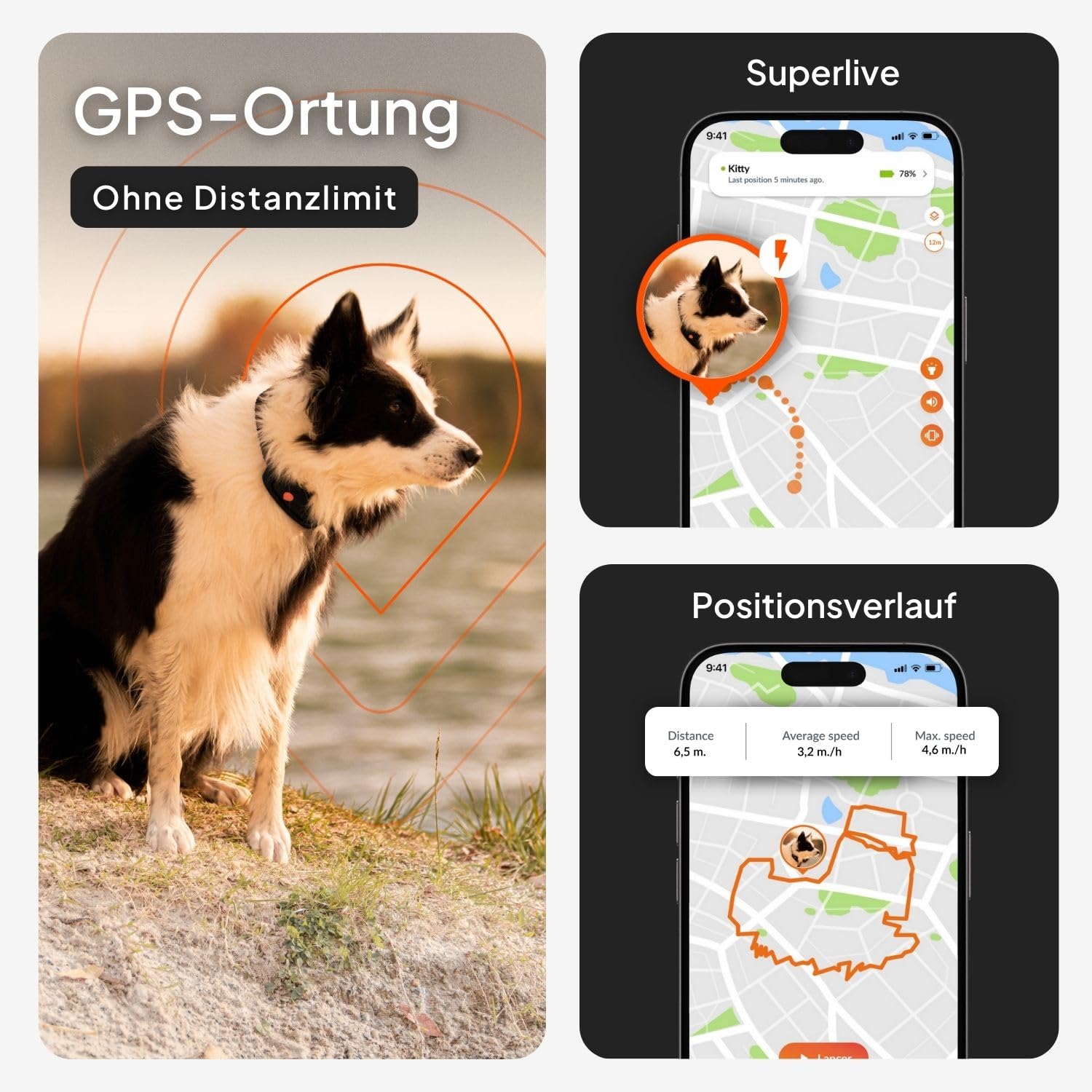 Weenect Hund XT - GPS-Tracker für Hunde Ohne Halsband | Wasserdicht | XL-Antenne | Unbegrenzte Reichweite Abonnement Erforderlich