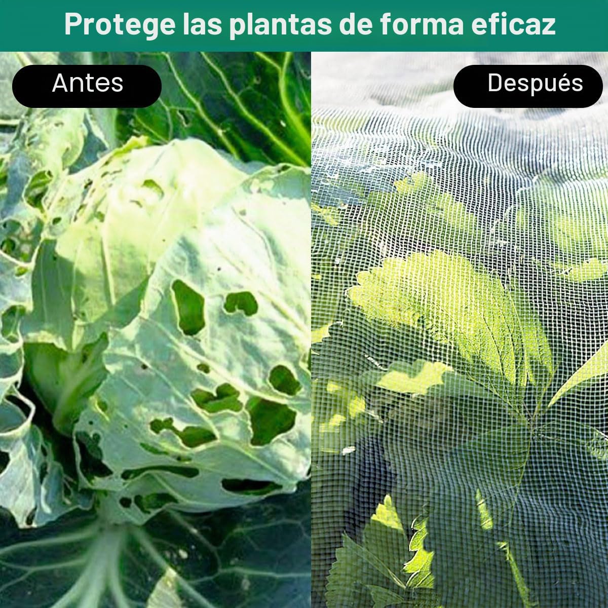 Malla Antipajaros,Redes Anti Insectos 3x10m,Mosquitera Blanca,Malla Fina Anti-Insectos,Red Antipajaros,Red Protectora para Vegetales,Malla Anti-pájaros,Protección para Frutas