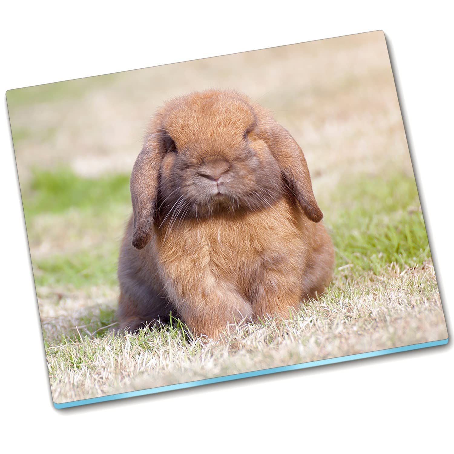 Carton de protection plaque de couverture en verre durci 60x52 planche à découper lapin sucré