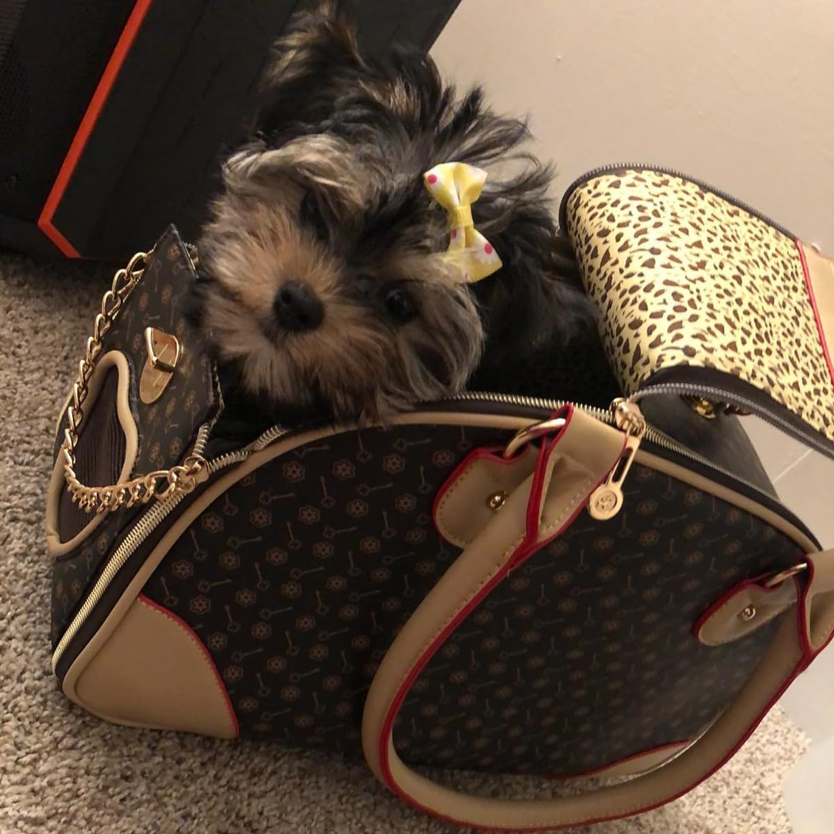 Luxury Pet Carrier, Puppy Small Dog Carrier, Cat Carrier Bag, Waterproof Premium Leather Carrying Handbag for Outdoor Travel Walking Hiking Shopping 16" x 8" x 12"