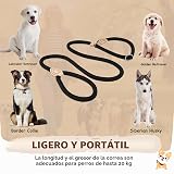 Ver la foto 7