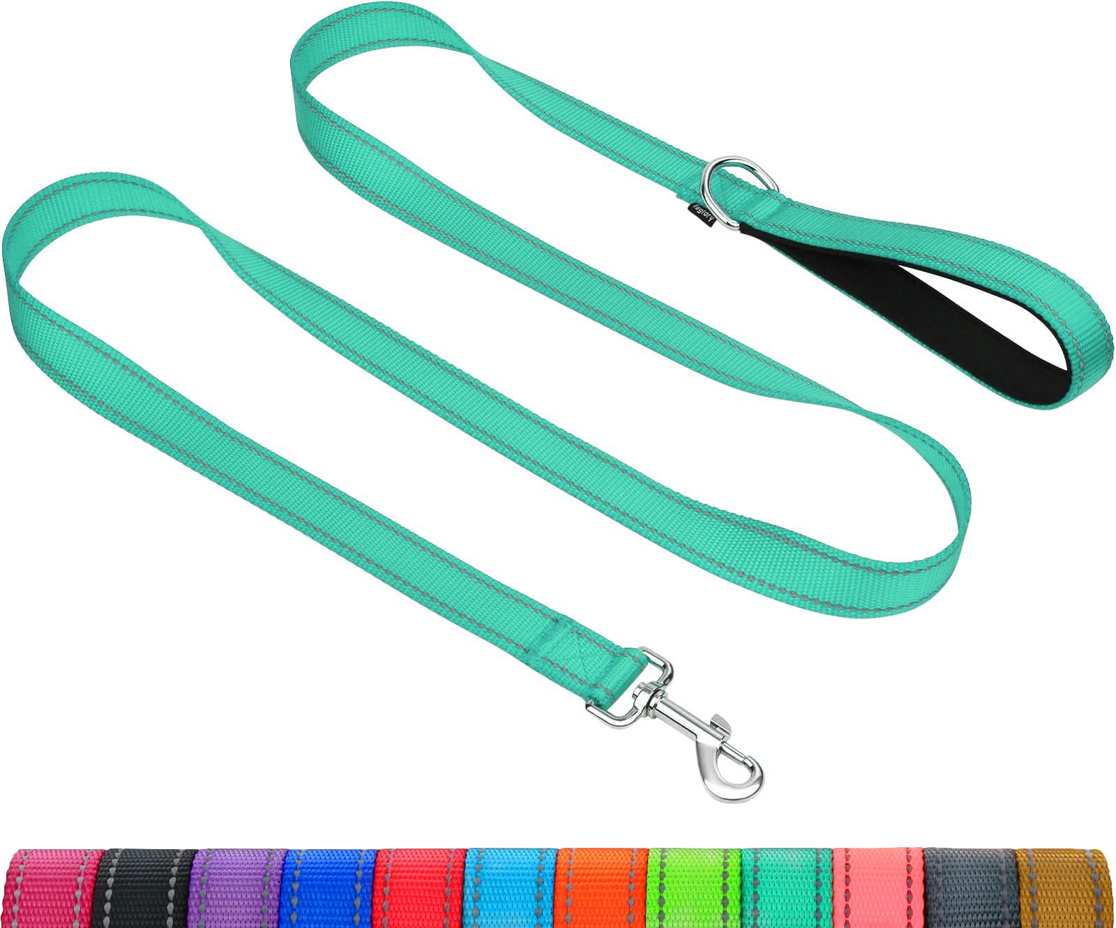 Taglory Guinzaglio per Cani Riflettente con Manico Imbottito e Gancio in Metallo, Nylon Resistente Addestramento Cane Guinzaglio, 1.8 m x 2.0 cm, Turchese