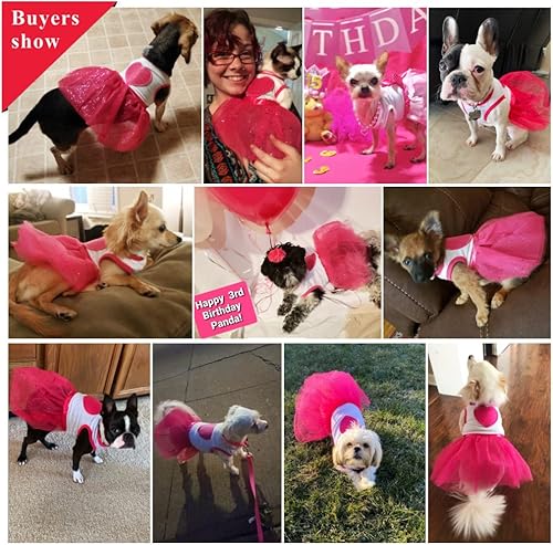 Miniatura 2 de Idepet Vestido de princesa tutú de primavera y verano para mascota, perro, gato, cachorro, tutú de princesa, falda de encaje con estampado de