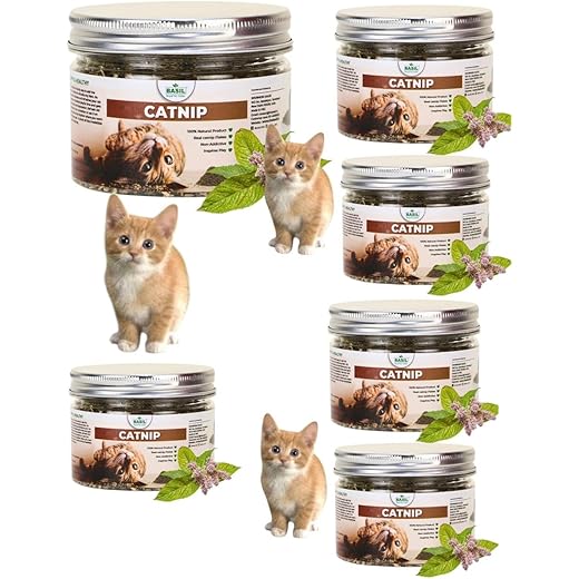 WaggyTails Premium Basil Cat Nip 30g Jar (Pack of 2)