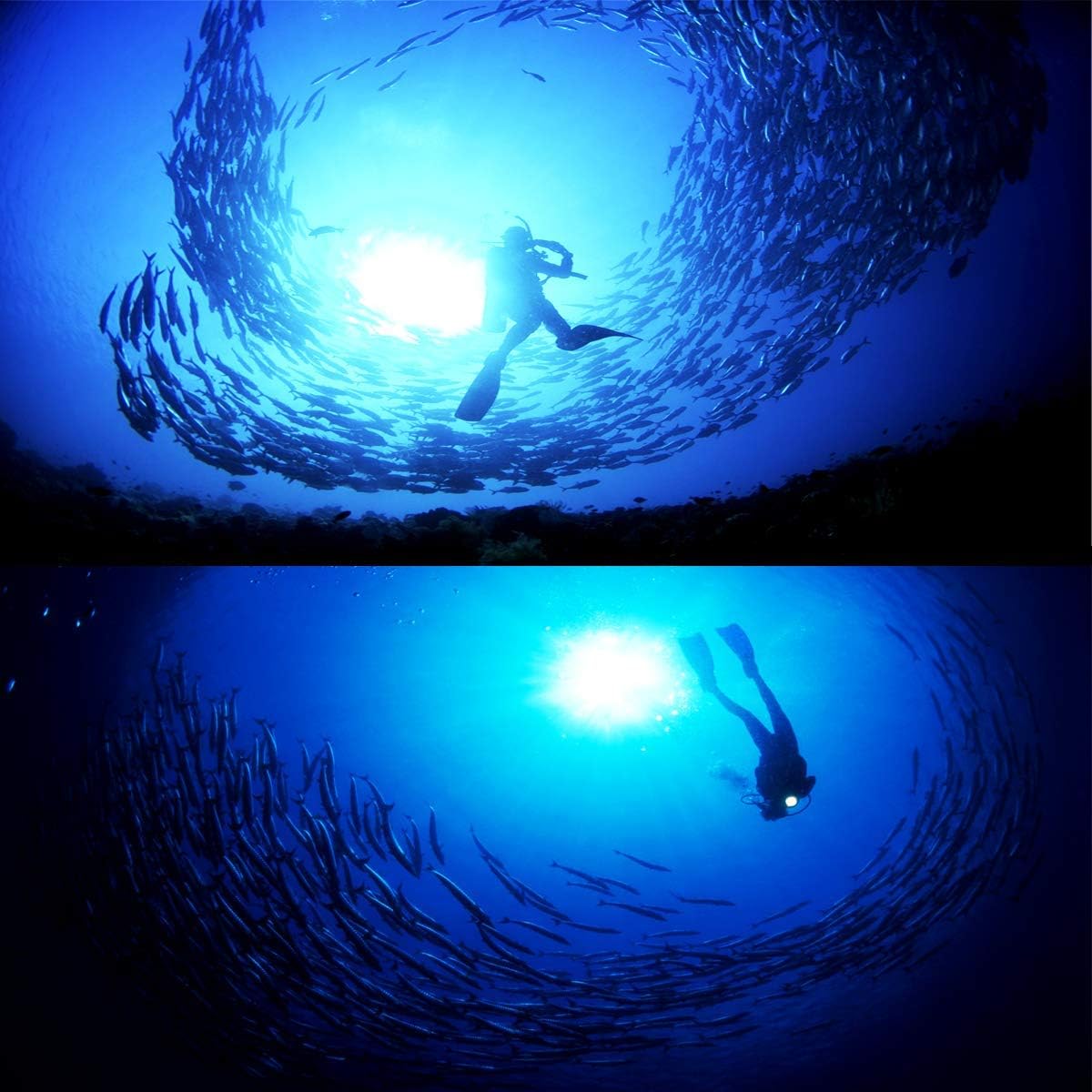 Kesida Scuba Diving Fins Adults Swimming Fins Adjustable Flippers for Snorkeling Diving Adults Men and Women Open Size Heel Swimming Flippers : Sports & Outdoors