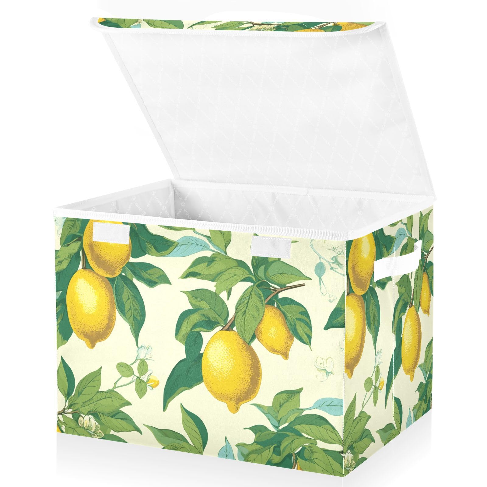 Mnsruu Storage Boxes with Lids, Lemons Leaves Print Large Storage Basket Organizer Shelves Cube Bin Toy Clothes Underbed