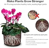 Mactoou Grow Bags for Vegetables, 5 Pack 10 Gallon Large Growing Bags, Fabric Planter Container for Vegetables Flowers Herbs Potato Tomato Carrot Strawberry, Black - Image 4