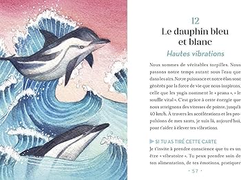 【正規品オラクルカード】水彩画の美麗イラスト✨イルカやクジラに会える海のデッキ Amazon.co.jp: オラクルカード水彩画の美麗イラストイルカや