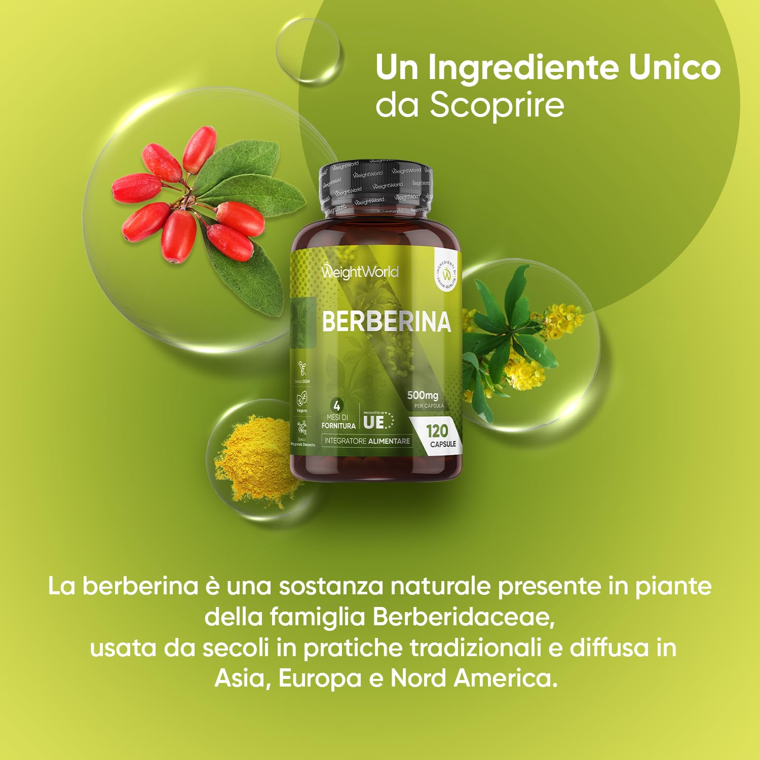 Berberina 500 mg Pura 85% e Omega 3 Olio di Pesce Bundle, 120 Capsule + 240 Softgel, Berberine dalla Pianta Berberis Aristata, Omega 3 2000mg con 660mg di EPA, 440mg di DHA, Senza Magnesio Stearato