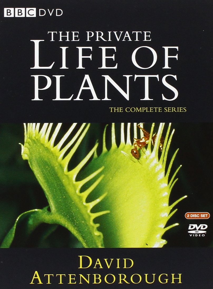 David Attenborough - The Life Collection Box Set [Edizione: Regno Unito]