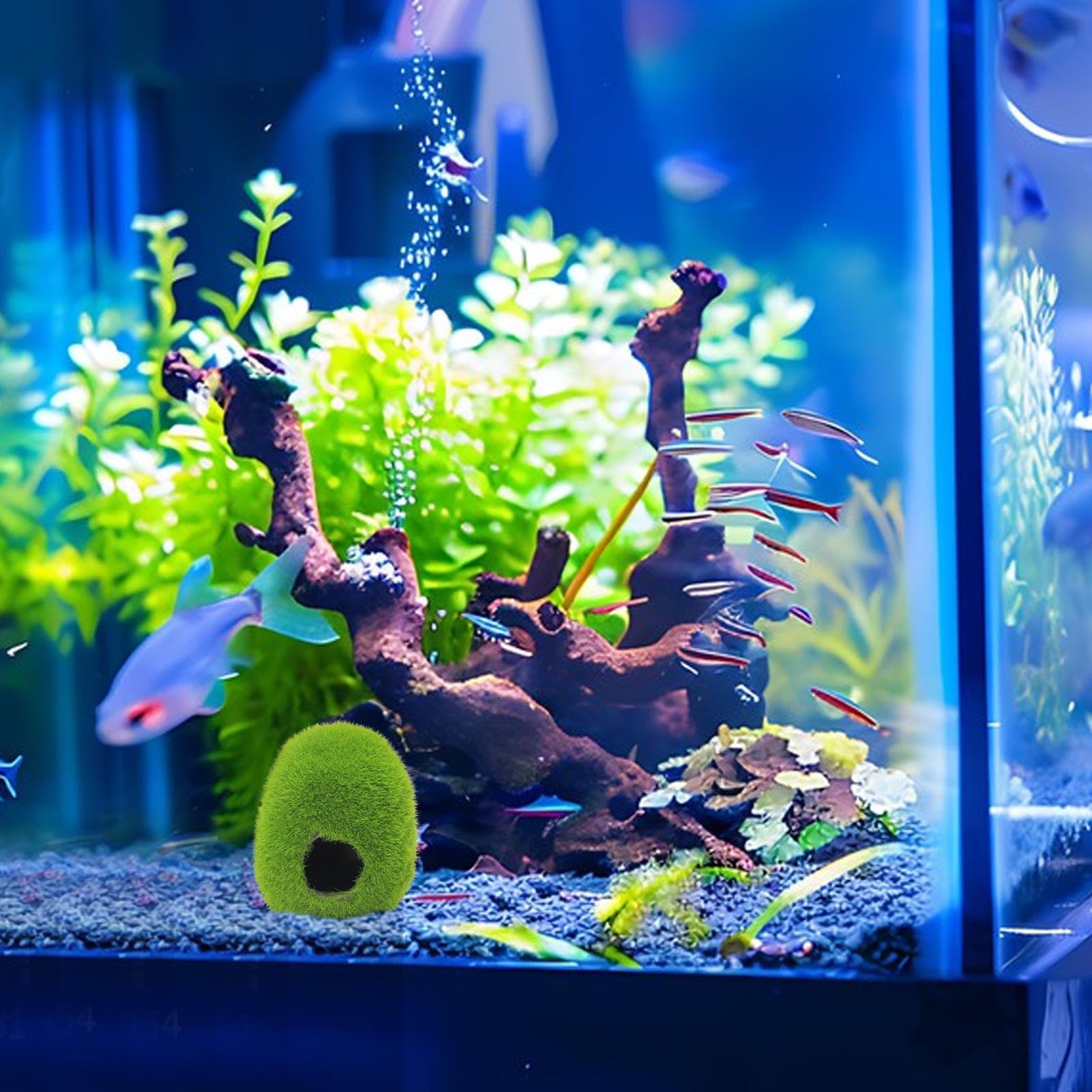 View 9
