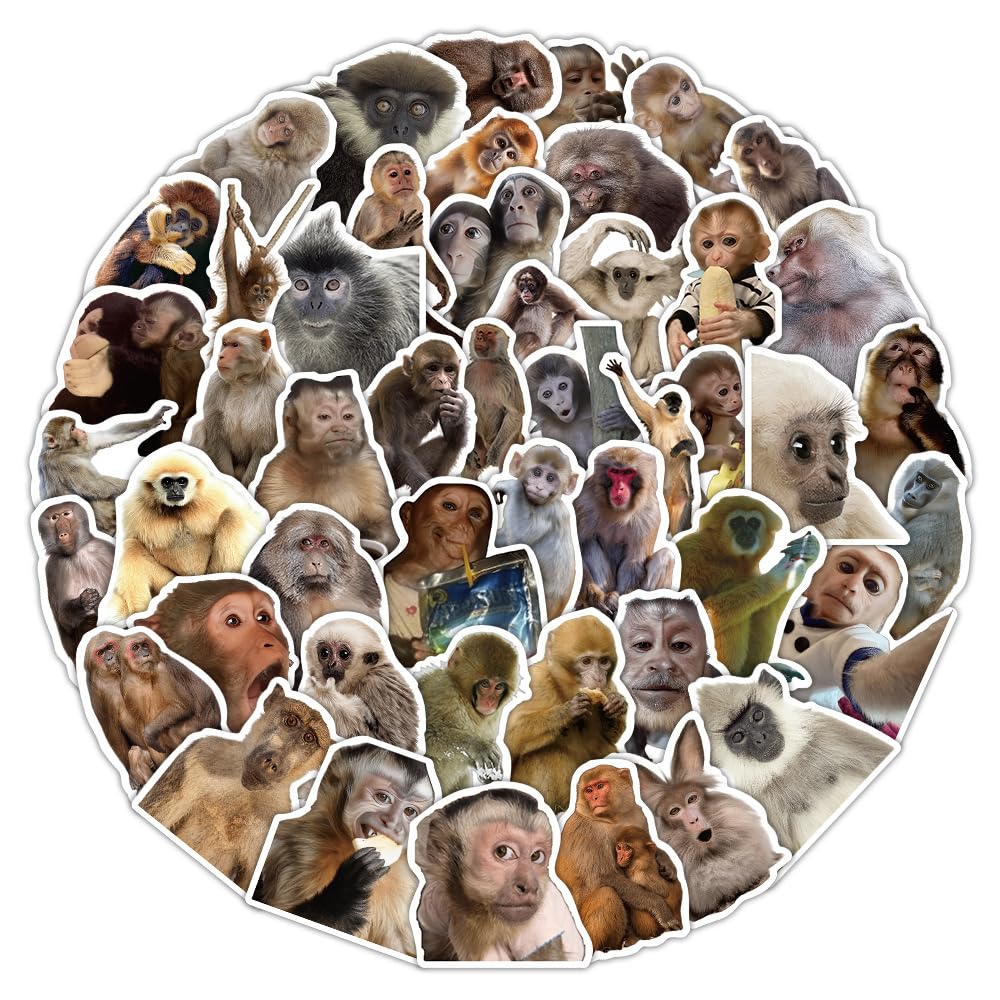 50 Pcs Monkey Stickers Laptop Car Scrapbook Phone Skateboard Suitcase Luggage Bike Monkey Vinyl Waterproof Aesthetic Personalised Stickers for Adults