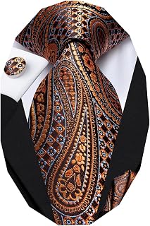 Mens Paisley Floral Silk Tie for Men Striped Necktie and Pocket Square Cufflinks Set Wedding Business