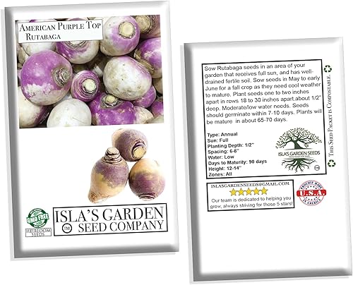 Miniatura 5 de Rutabaga (parte superior púrpura americana), más de 150 semillas de reliquia por paquete, semillas de jardín de Isla (semillas de jardín de Isla),