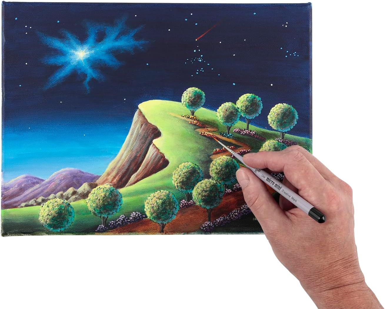 Micro Mini Fine Detail Paint Brush Set of 12 Pieces, Small Short Handle Taklon Bristles for Detailing, Paint by Number Art, Models & Nails (Pack of 2)